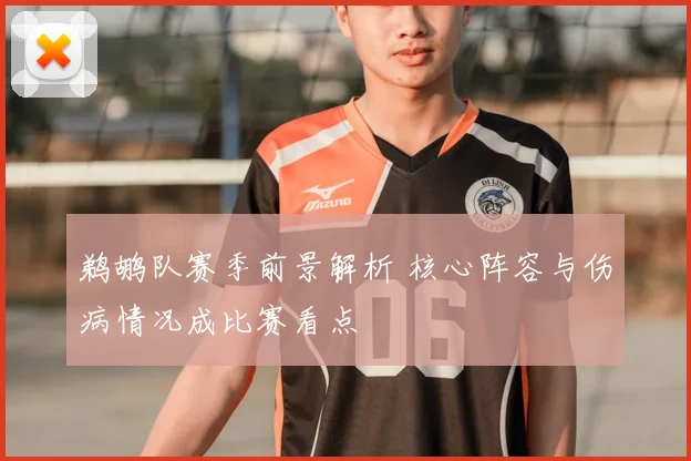鹈鹕队赛季前景解析 核心阵容与伤病情况成比赛看点