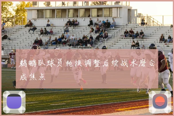 鹈鹕队球员轮换调整后续战术磨合成焦点