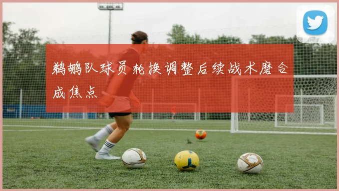 鹈鹕队球员轮换调整后续战术磨合成焦点