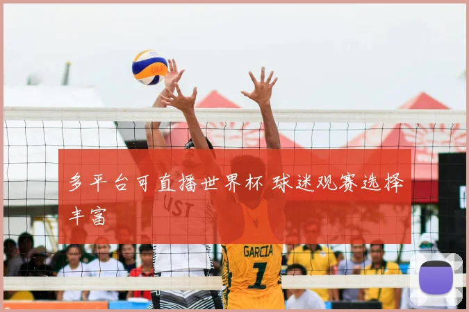 多平台可直播世界杯 球迷观赛选择丰富