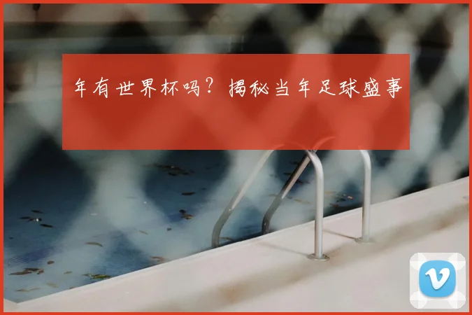 年有世界杯吗？揭秘当年足球盛事