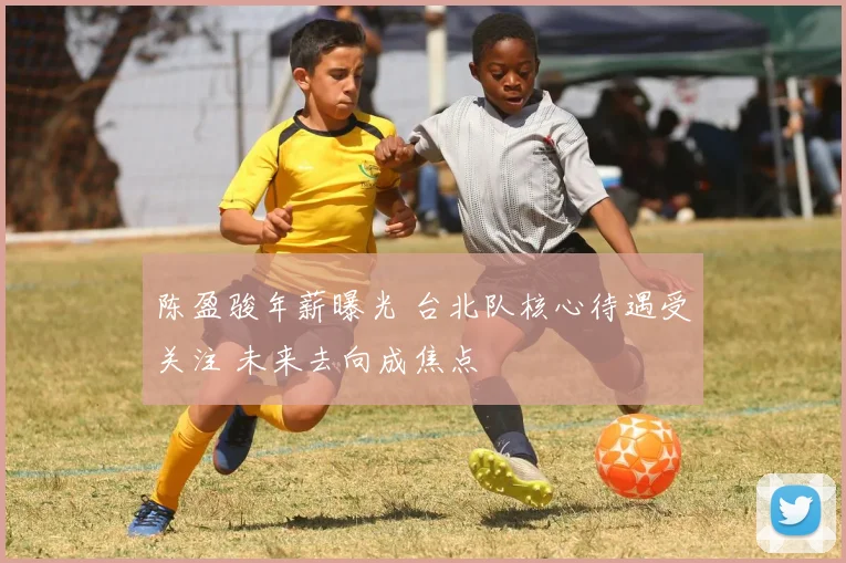 陈盈骏年薪曝光 台北队核心待遇受关注 未来去向成焦点