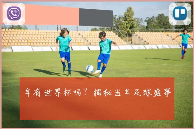 年有世界杯吗?揭秘当年足球盛事