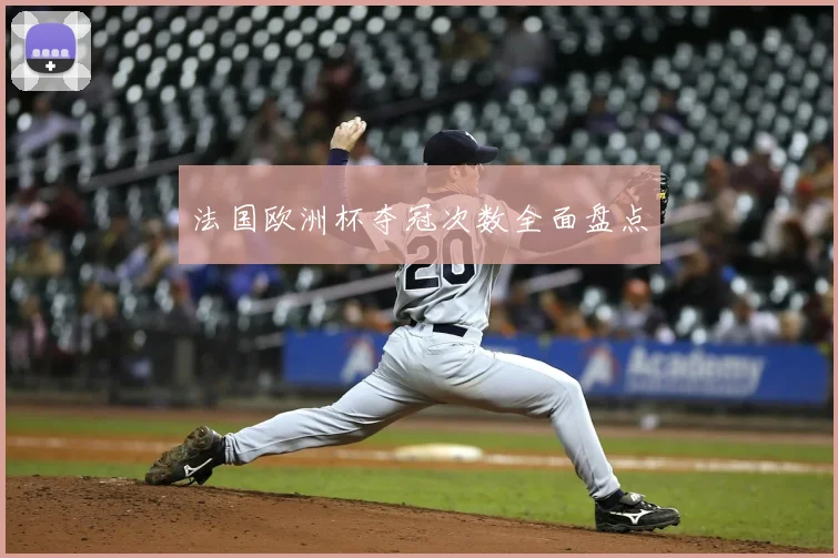 法国欧洲杯夺冠次数全面盘点