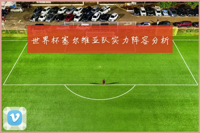 世界杯塞尔维亚队实力阵容分析