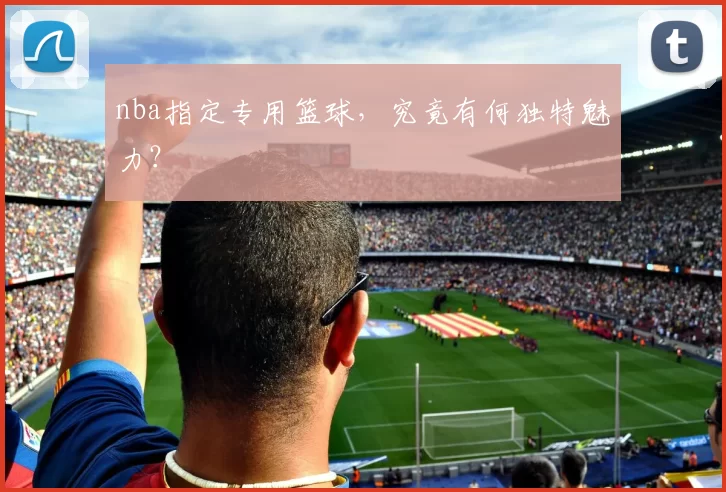 nba指定专用篮球,究竟有何独特魅力?