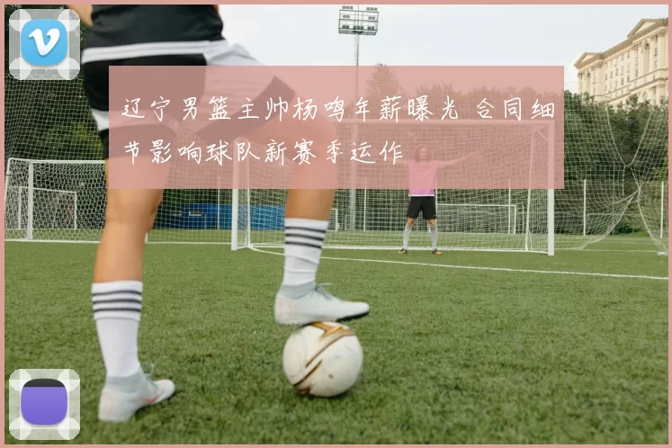 辽宁男篮主帅杨鸣年薪曝光 合同细节影响球队新赛季运作