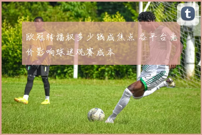 欧冠转播权多少钱成焦点 各平台竞价影响球迷观赛成本