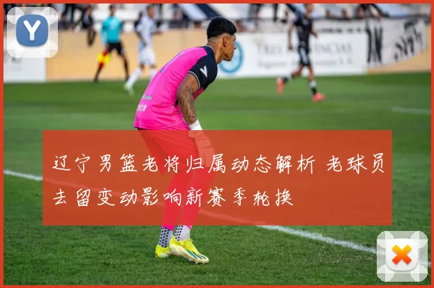 辽宁男篮老将归属动态解析 老球员去留变动影响新赛季轮换