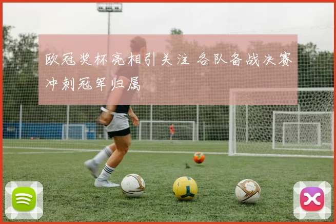 欧冠奖杯亮相引关注 各队备战决赛冲刺冠军归属