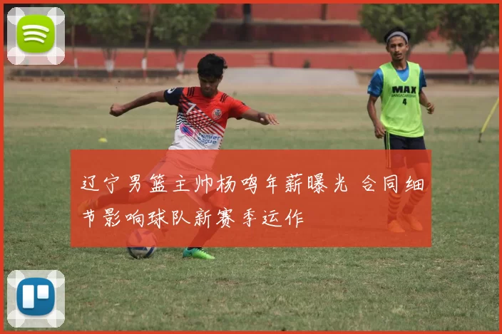 辽宁男篮主帅杨鸣年薪曝光 合同细节影响球队新赛季运作