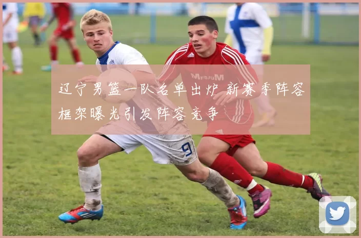 辽宁男篮一队名单出炉 新赛季阵容框架曝光引发阵容竞争