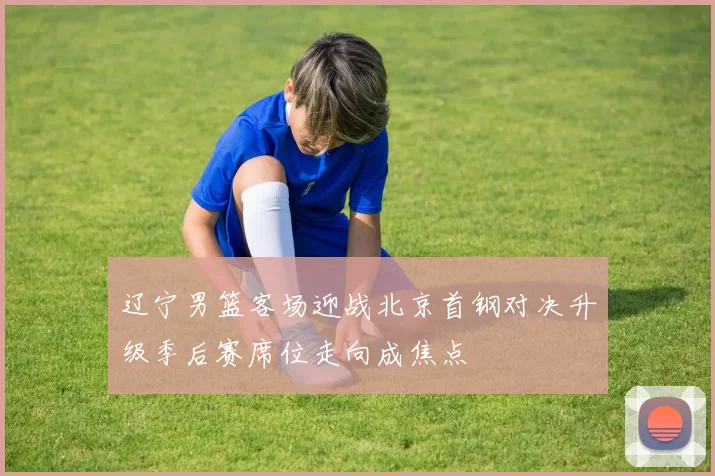 辽宁男篮客场迎战北京首钢对决升级季后赛席位走向成焦点