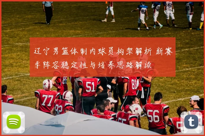 辽宁男篮体制内球员构架解析 新赛季阵容稳定性与培养思路解读