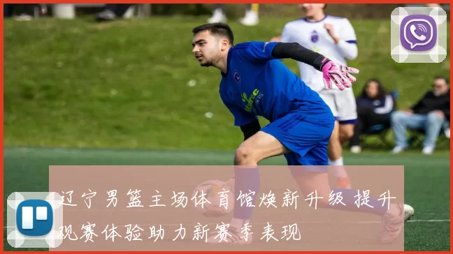 辽宁男篮主场体育馆焕新升级 提升观赛体验助力新赛季表现