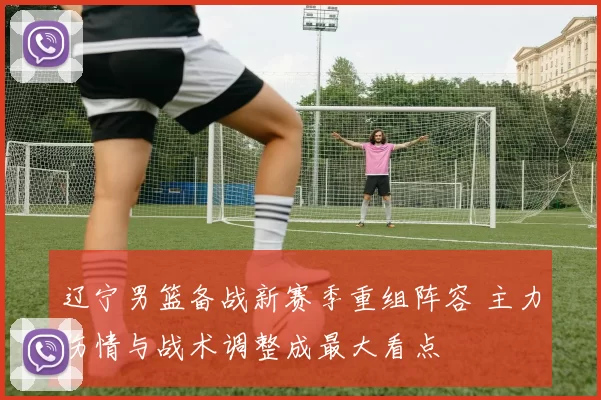 辽宁男篮备战新赛季重组阵容 主力伤情与战术调整成最大看点