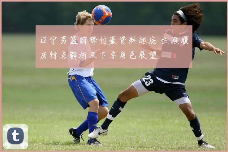 辽宁男篮前锋付豪资料起底 生涯履历特点解析及下季角色展望