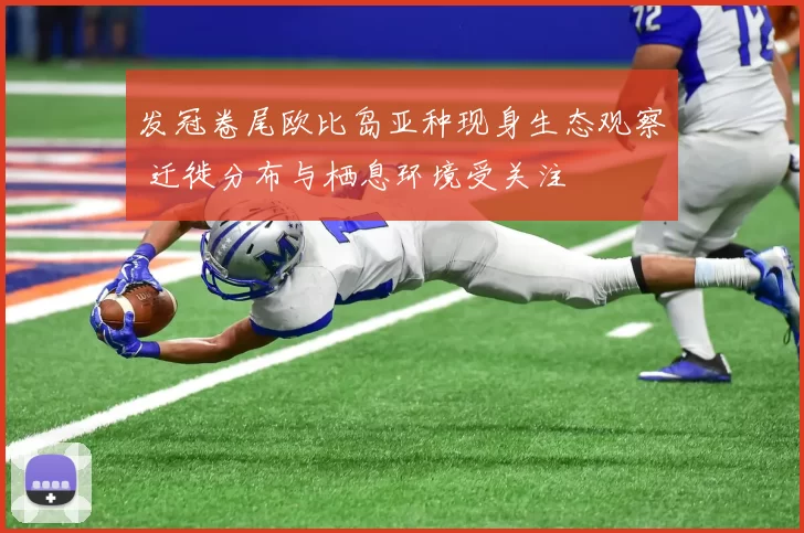 发冠卷尾欧比岛亚种现身生态观察 迁徙分布与栖息环境受关注