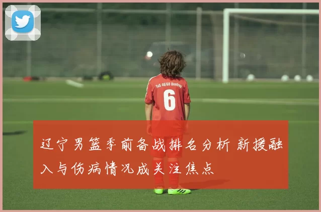 辽宁男篮季前备战排名分析 新援融入与伤病情况成关注焦点