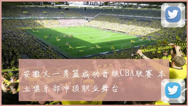 安徽文一男篮成功晋级CBA联赛 本土俱乐部冲顶职业舞台