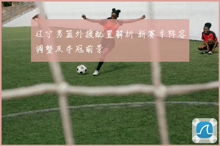 辽宁男篮外援配置解析 新赛季阵容调整及夺冠前景