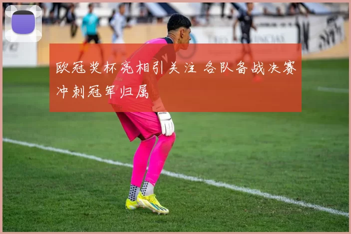 欧冠奖杯亮相引关注 各队备战决赛冲刺冠军归属