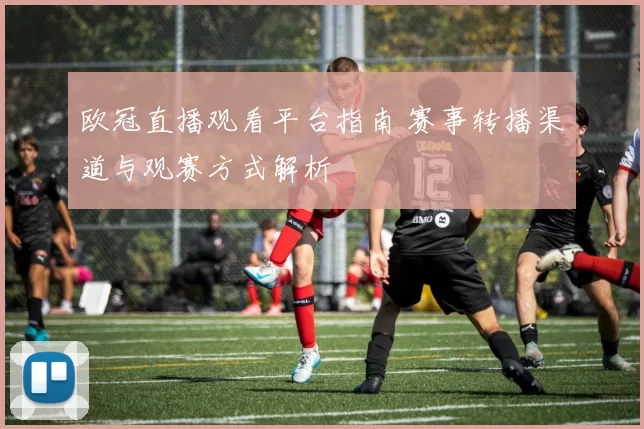 欧冠直播观看平台指南 赛事转播渠道与观赛方式解析