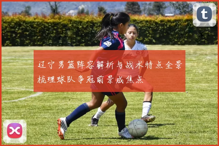 辽宁男篮阵容解析与战术特点全景梳理球队争冠前景成焦点