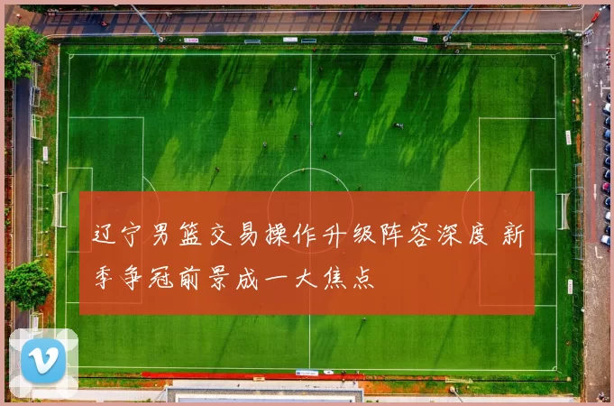 辽宁男篮交易操作升级阵容深度 新季争冠前景成一大焦点