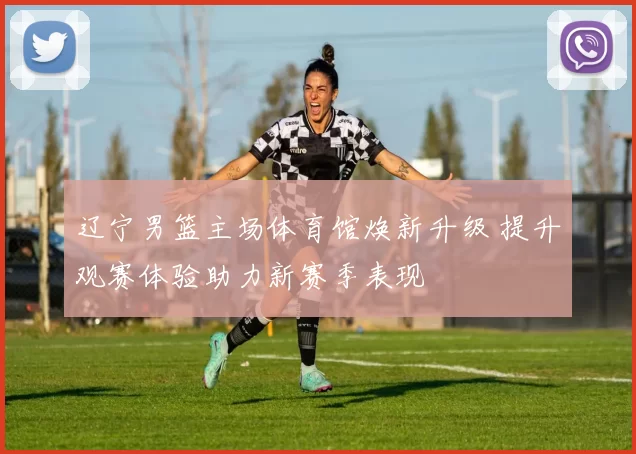 辽宁男篮主场体育馆焕新升级 提升观赛体验助力新赛季表现