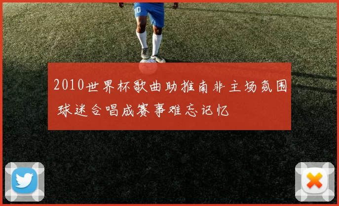2010世界杯歌曲助推南非主场氛围 球迷合唱成赛事难忘记忆