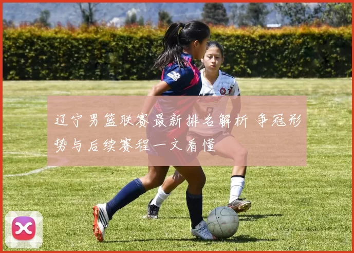 辽宁男篮联赛最新排名解析 争冠形势与后续赛程一文看懂