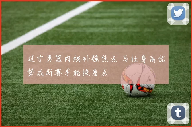 辽宁男篮内线补强焦点 马壮身高优势成新赛季轮换看点