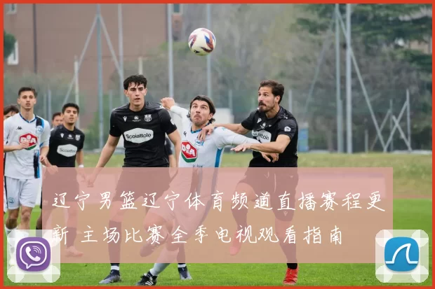 辽宁男篮辽宁体育频道直播赛程更新 主场比赛全季电视观看指南