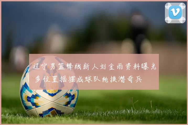 辽宁男篮锋线新人刘金雨资料曝光 多位置摇摆成球队轮换潜奇兵