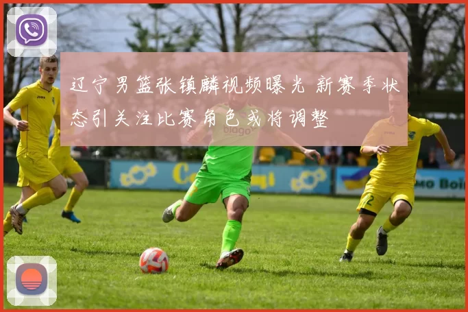 辽宁男篮张镇麟视频曝光 新赛季状态引关注比赛角色或将调整