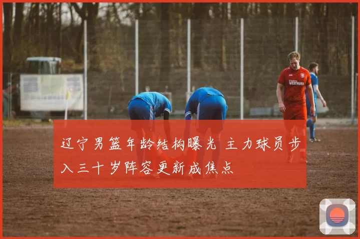 辽宁男篮年龄结构曝光 主力球员步入三十岁阵容更新成焦点