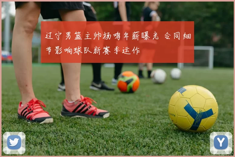 辽宁男篮主帅杨鸣年薪曝光 合同细节影响球队新赛季运作