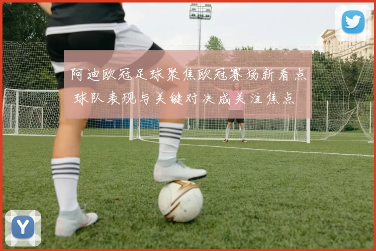 阿迪欧冠足球聚焦欧冠赛场新看点 球队表现与关键对决成关注焦点