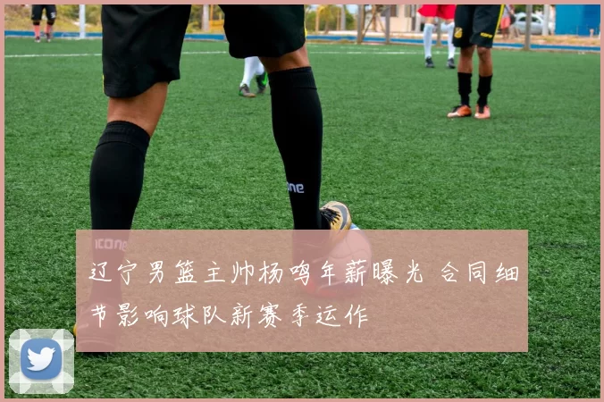 辽宁男篮主帅杨鸣年薪曝光 合同细节影响球队新赛季运作