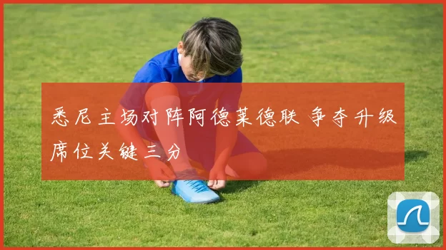 悉尼主场对阵阿德莱德联 争夺升级席位关键三分