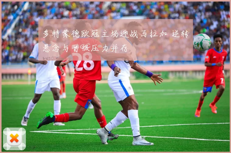 多特蒙德欧冠主场迎战马拉加 逆转悬念与晋级压力并存