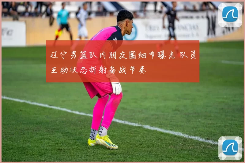 辽宁男篮队内朋友圈细节曝光 队员互动状态折射备战节奏