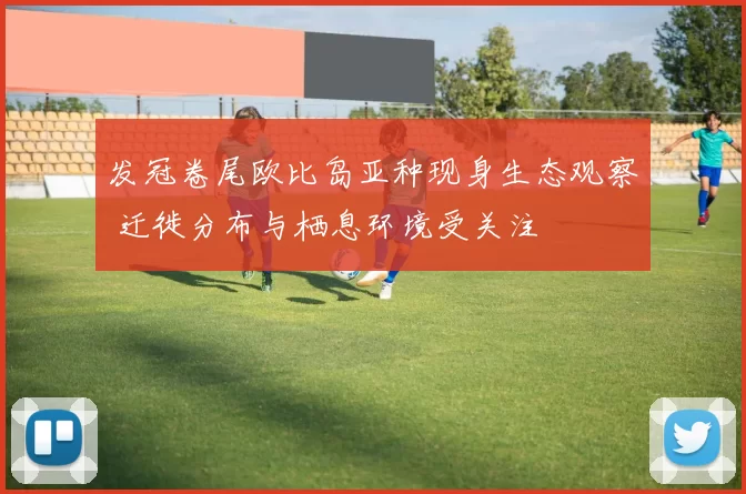 发冠卷尾欧比岛亚种现身生态观察 迁徙分布与栖息环境受关注