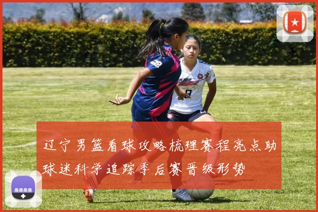 辽宁男篮看球攻略梳理赛程亮点助球迷科学追踪季后赛晋级形势