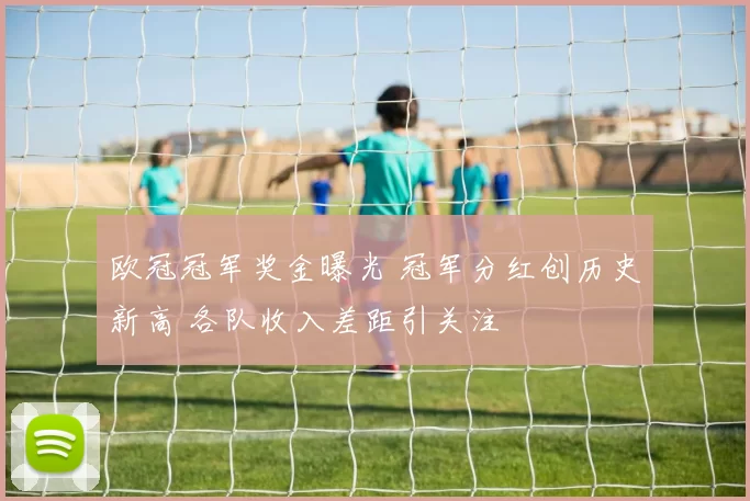 欧冠冠军奖金曝光 冠军分红创历史新高 各队收入差距引关注