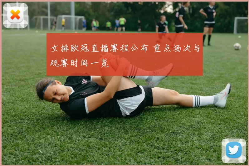 女排欧冠直播赛程公布 重点场次与观赛时间一览