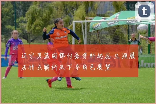 辽宁男篮前锋付豪资料起底 生涯履历特点解析及下季角色展望