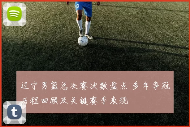 辽宁男篮总决赛次数盘点 多年争冠历程回顾及关键赛季表现