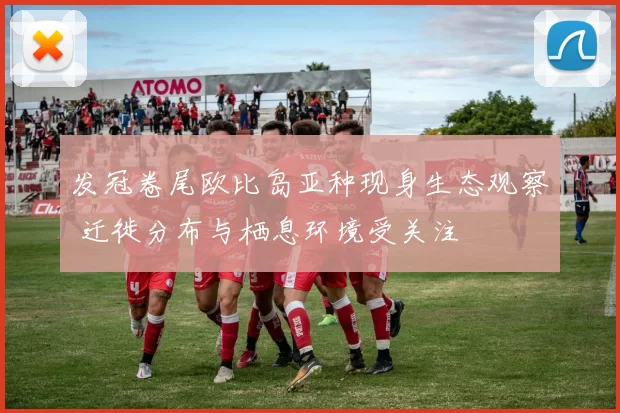 发冠卷尾欧比岛亚种现身生态观察 迁徙分布与栖息环境受关注